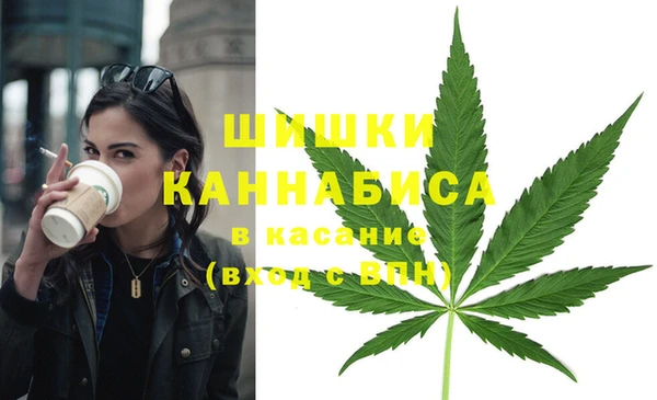ешки Бородино