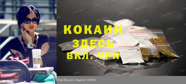 ешки Бородино