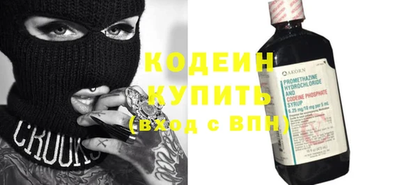ешки Бородино