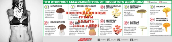 ешки Бородино
