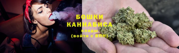 ешки Бородино