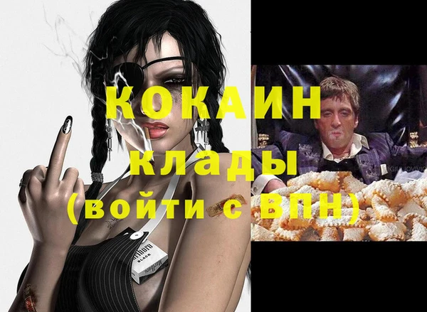 ешки Бородино