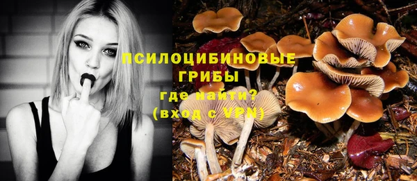 синтетический гашиш Бронницы