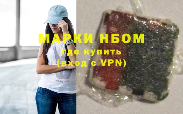 ешки Бородино