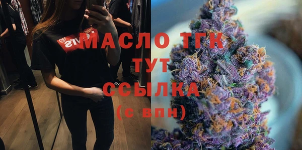 ешки Бородино