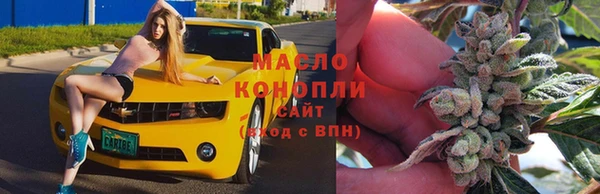 ешки Бородино